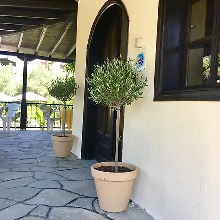 Hotel Artemis Holidays Kalogria (Sithonia)
