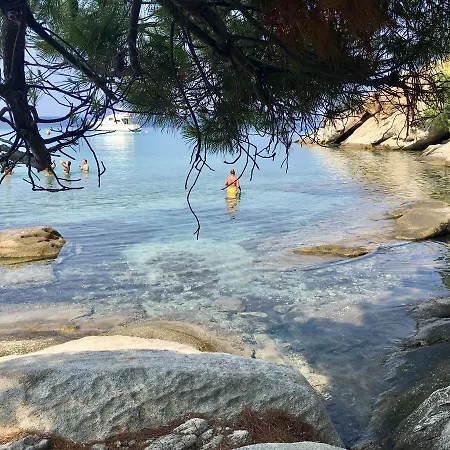 Artemis Holidays * Kalogria (Sithonia)