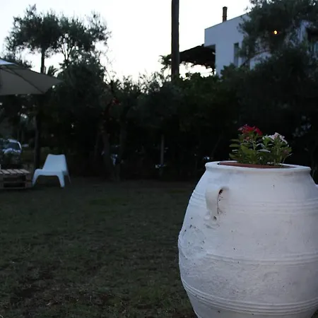 Artemis Holidays Hotel Kalogria (Sithonia)