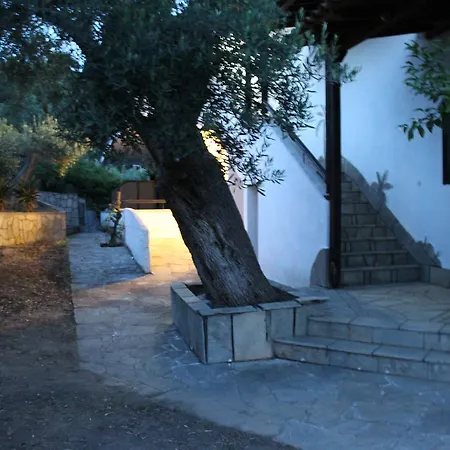 Artemis Holidays Hotel Kalogria (Sithonia)