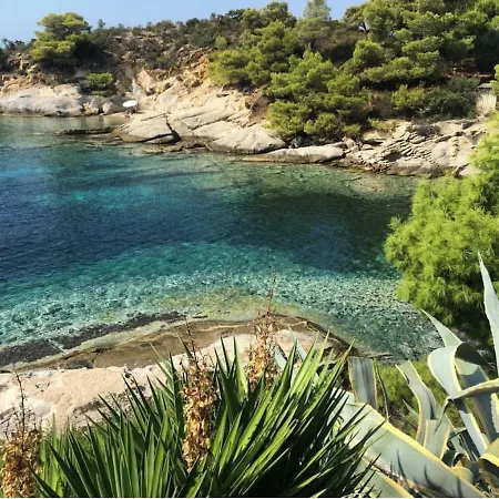 Artemis Holidays * Kalogria (Sithonia)